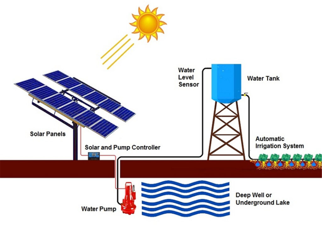 Flowchart of a solar water pumping system for agriculture, showing the energy flow from sunlight to solar panels to a controller/inverter, then to either a battery bank (optional) or directly to the water pump, which draws from a water source and delivers water to crops or livestock.